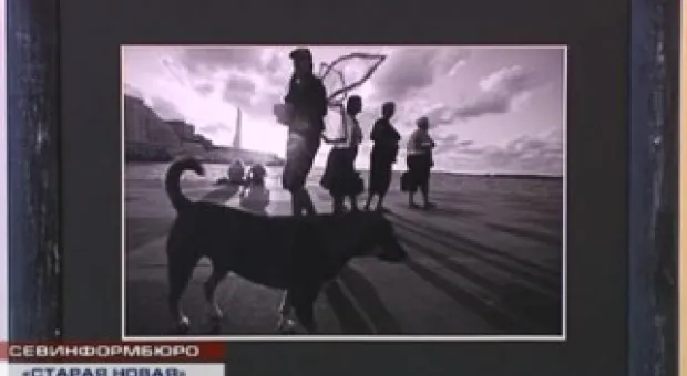 Новости Севастополя - В Севастополе откроется выставка "Тайны Владимира Высоцкого"