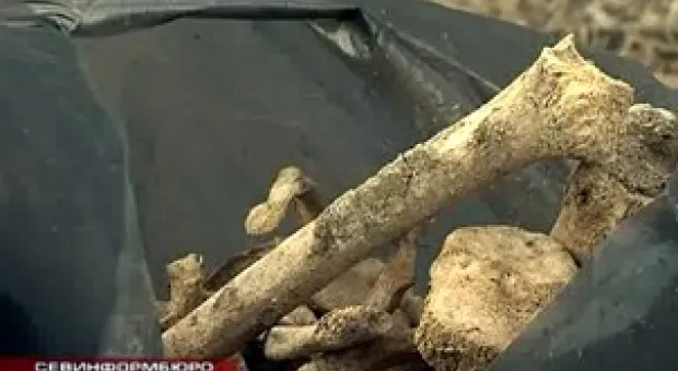 Новости Севастополя - Зачем Великобритания создаёт собственный дискурс вокруг Севастополя