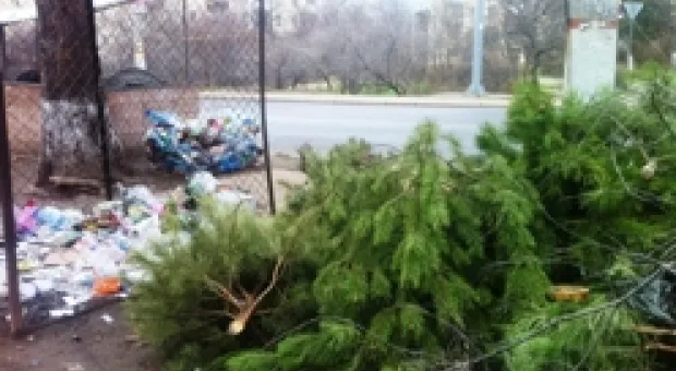 Новости Севастополя - Порты Севастополя перевалили около семи миллионов тонн грузов