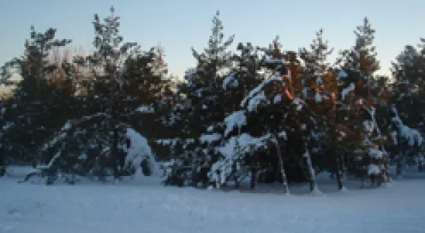 Новости Севастополя - 