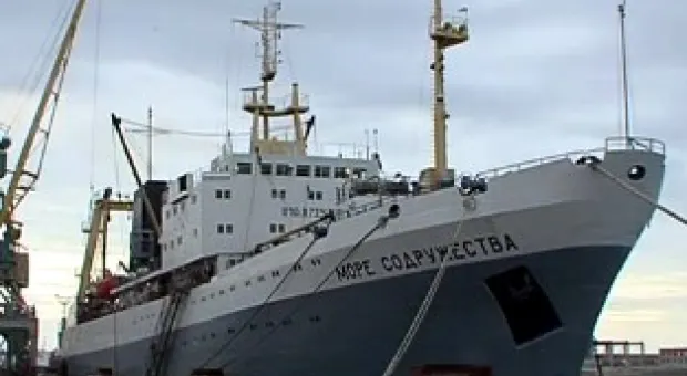 Новости Севастополя - Власть о выступлениях общественности против застройщиков: "У нас протестные движения пытаются руководить развитием Севастополя"