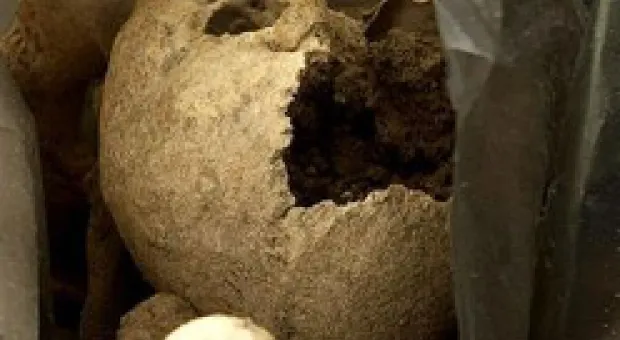 Новости Севастополя - «Крымская война» возвращается на Федюхины высоты