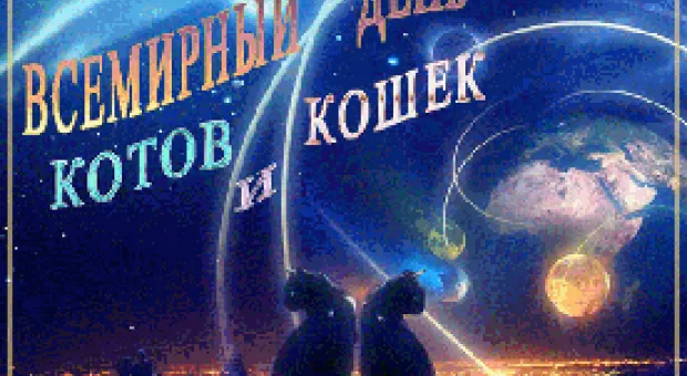 Сегодня Всемирный день кошек