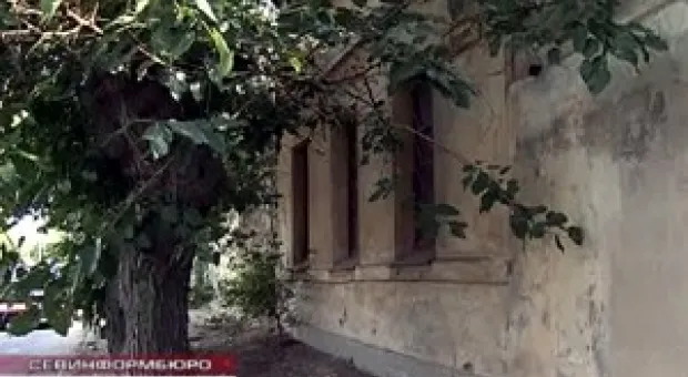 Новости Севастополя - Куйбышевские браконьеры в лесах Балаклавы