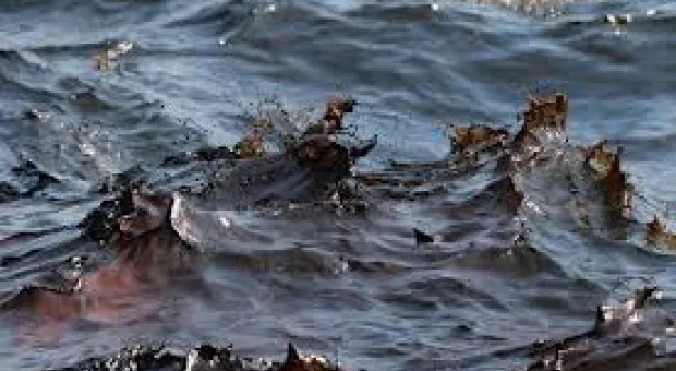 Новости Севастополя - За июль 2013г. предприятиями водного транспорта Севастополя перевезено 694,7 тыс. пассажиров