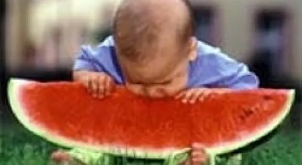 Мировые новости - Страницы древнейшей Библии появятся в Сети