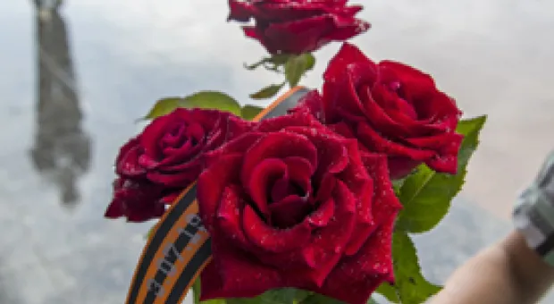 Новости Севастополя - В Севастополе начали выдавать архивные справки ликвидированных вузов