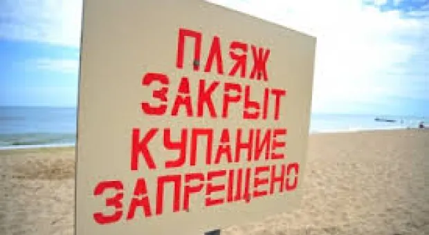 Новости Севастополя - Губернатор Севастополя взял на контроль расследование серийного убийства кошек журналистов