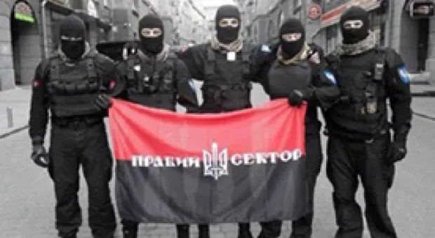 Мировые новости - Депутаты помогли жителям Казачьей бухты облагородить дикий пляж