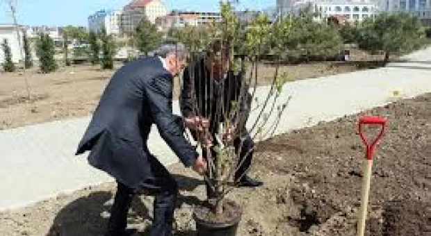 Новости Севастополя - 