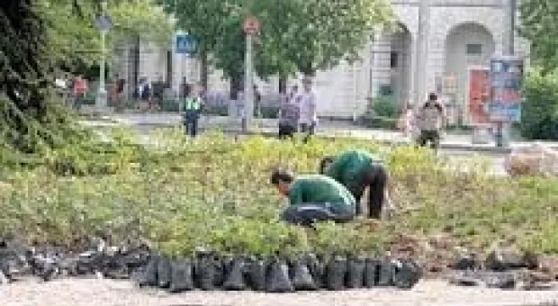 Новости Севастополя - Городские пляжи Севастополя не получили разрешений от Роспотребнадзора