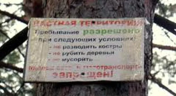 Новости Севастополя - Лидер ИГ преподнес террористке голову "неверной" в качестве свадебного подарка