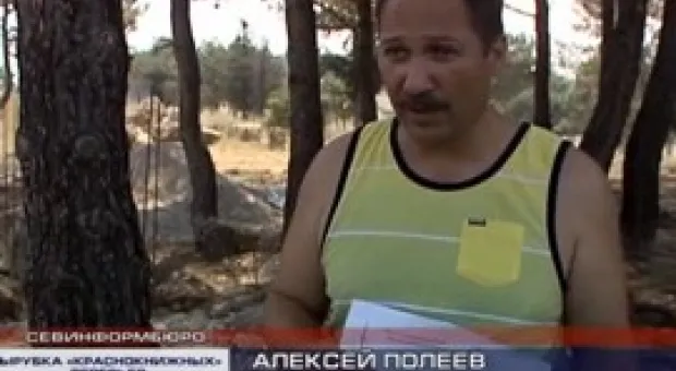 Новости Севастополя - «Правый сектор» не выдает своих бойцов, стрелявших в Мукачево