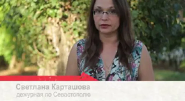 Новости Севастополя - В Севастополе собаку вытолкнули из окна пятиэтажки