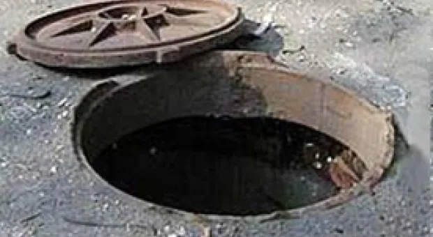 Новости Севастополя - Между Новороссийском и Севастополем на контейнерной линии начнет работать новое вместительное судно