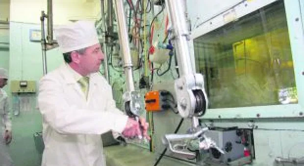 Мировые новости - Севастополь опередил Крым по сумме выигранных грантов на молодежные проекты