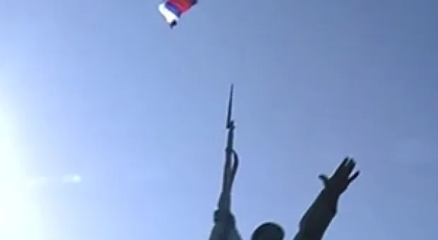Новости Севастополя - В урочище Ласпи вырубают лес