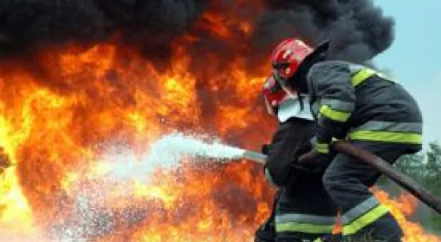 Новости Севастополя - Полиция Севастополя подключилась к поискам убийцы медиков