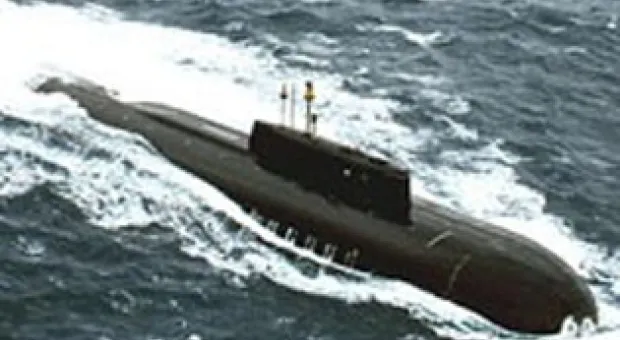 Мировые новости - Пчеловоды в ужасе: пчелы дохнут, как мухи
