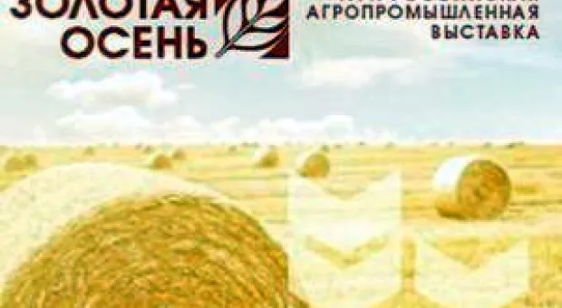 Новости Севастополя - Завтра в Севастополе перекроют движение – будут взрывать бомбы
