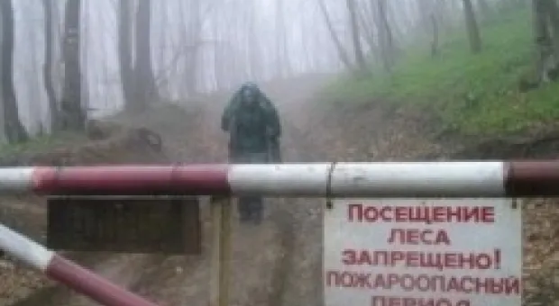Новости Севастополя - В Севастополе обезврежена 250-килограммовая немецкая авиабомба и полсотни снарядов времён войны