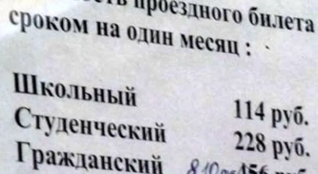 Новости Севастополя - В Севастополе нет приютов для бездомных