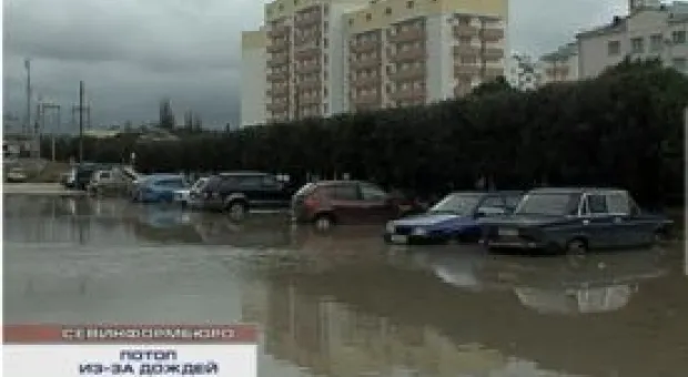 Новости Севастополя - В Севастополе определена дата кадастрирования земель в лесном фонде