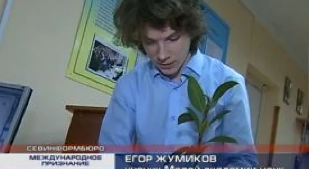 Новости Севастополя - Новым полпредом в Крыму может стать Колокольцев — СМИ