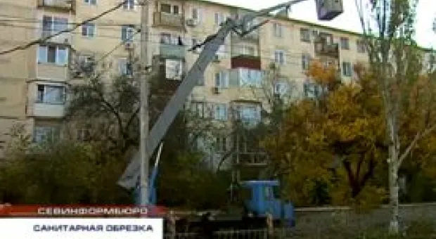 Новости Севастополя - В Севастополе могут появиться "перехватывающие" парковки
