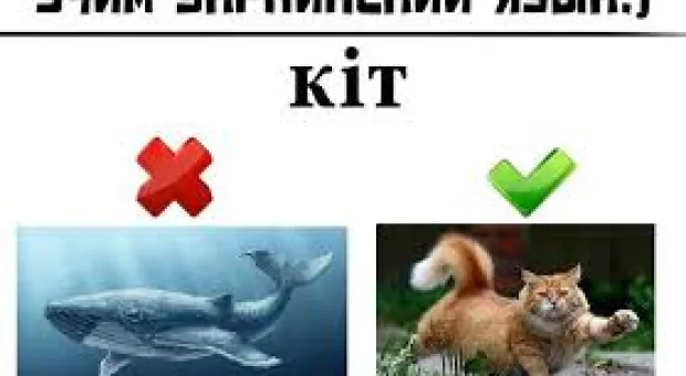 Мировые новости - МЧС: топлива в Крыму для резервных источников остается лишь на 3 дня