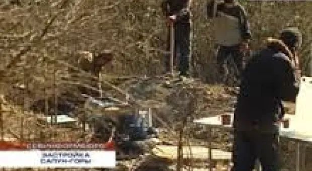 Новости Севастополя - В Севастополе изучают качество услуг общественного транспорта: «Водители хамят, не перевозят льготников»