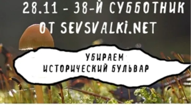 Новости Севастополя - Минэнерго РФ: надежды на возобновление поставки электроэнергии с Украины в Крым потеряны