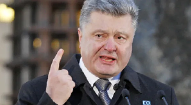 Мировые новости - В крымском зоопарке умер второй редкий тигренок
