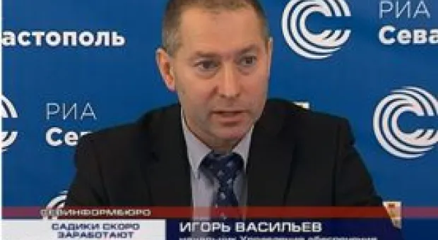 Новости Севастополя - Правительство упростило требования к виноделам