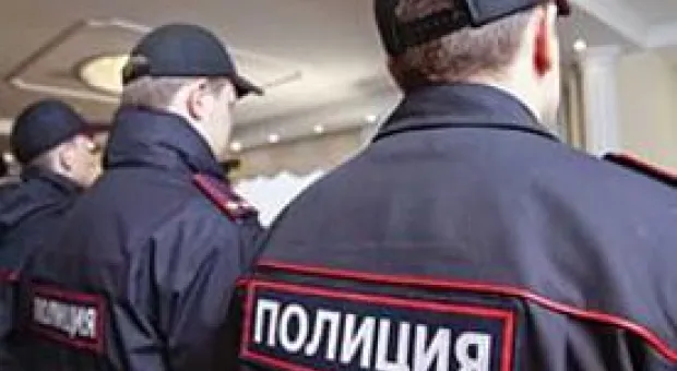 Новости Севастополя - В Севастополе не зафиксировано самовольной вырубки «новогодних» сосен