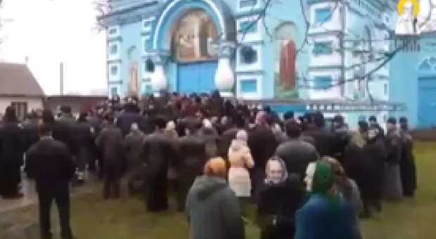 Мировые новости - Два севастопольца задержаны за рубку краснокнижной сосны