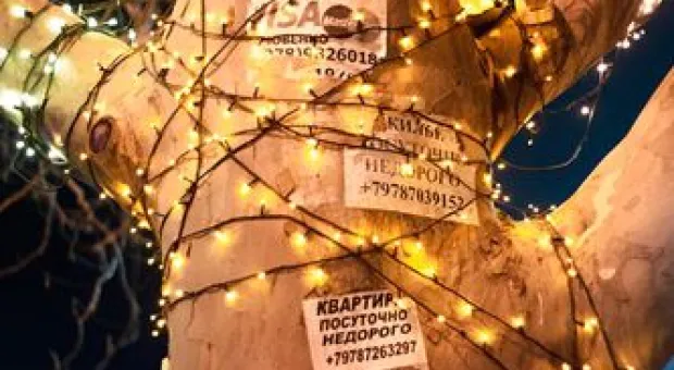 Новости Севастополя - Клинцевич: Турция давно разыгрывает "крымско-татарскую" карту