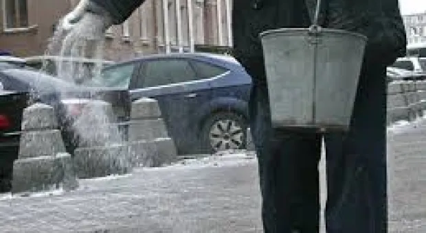 Новости Севастополя - Правительство Севастополя разрешило отстреливать волков