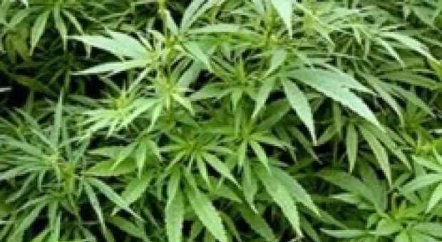 Мировые новости - С начала недели гаишники наштрафовали на 7,5 миллионов