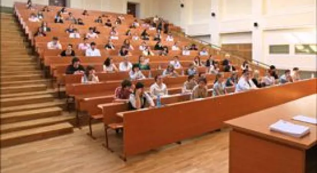 Новости Севастополя - Усыплять или стерилизовать: Севастополю нужен местный закон о регулировании численности животных