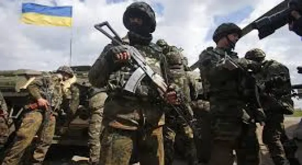 Мировые новости - Информатизация Севастополя обойдётся налогоплательщикам в четверть миллиарда рублей