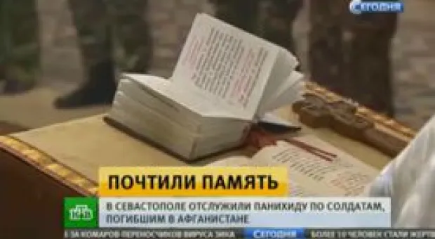 Новости Севастополя - Конвертация урочищ в чьи-то миллионы долларов не может быть смыслом жизни Севастополя, - Чалый