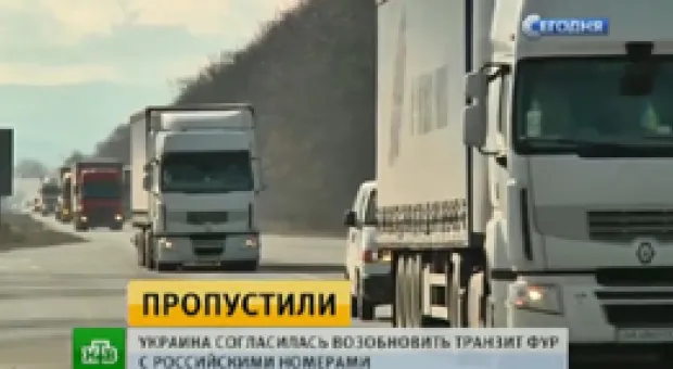 Мировые новости - Экс-руководитель «Херсонеса Таврического» причастен к завладению землями заповедника
