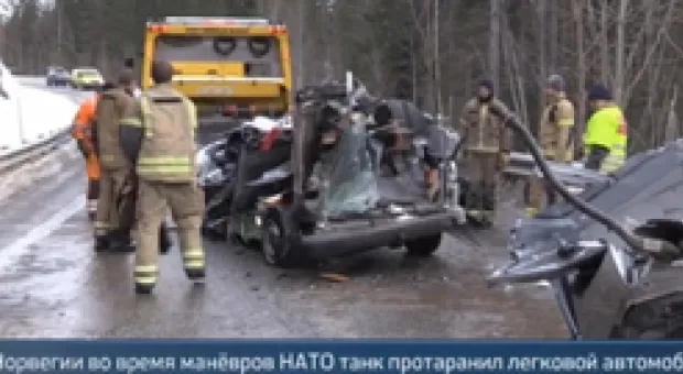 Мировые новости - Формирование «Правого дела» в Севастополе планируется завершить в марте, – Олег Николаев