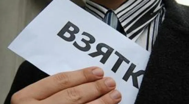 Новости Севастополя - В Севастополе до конца года будут кадастрированы неучтённые леса, – Сергей Скоробреха