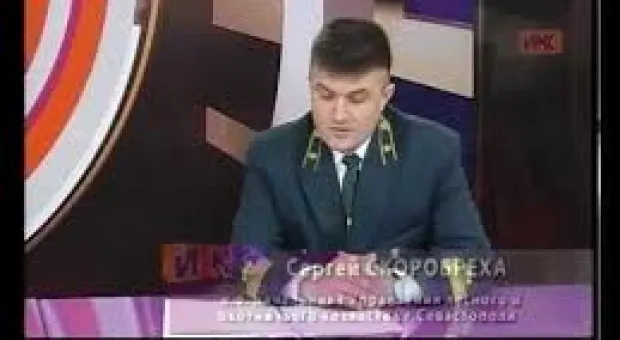 Новости Севастополя - Основные причины роста ДТП в Севастополе – плохие дороги и пропускная способность