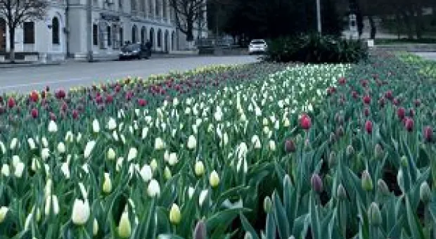 Новости Севастополя - На выходные в Севастополе снова будет прохладно, но без дождей