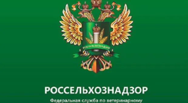 Мировые новости - В Греции не прекращаются акции недовольства