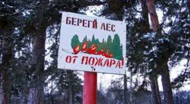 Новости Севастополя - Целые группы женщин-карманниц «обжились» на рынке «5-й километр»