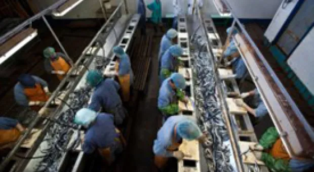 Мировые новости - Обама согласился в шесть раз увеличить численность контингента в Сирии